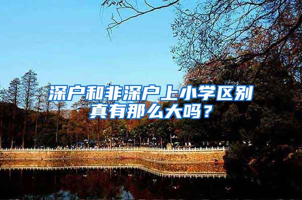 深户和非深户上小学区别真有那么大吗？