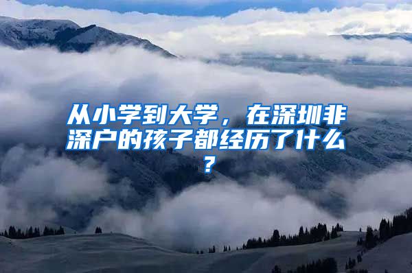 从小学到大学，在深圳非深户的孩子都经历了什么？