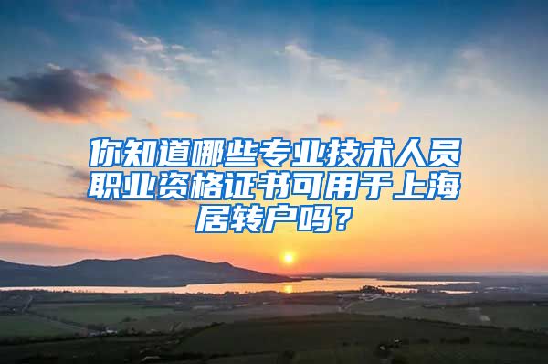 你知道哪些专业技术人员职业资格证书可用于上海居转户吗？