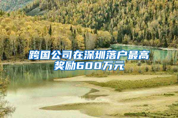 跨国公司在深圳落户最高奖励600万元