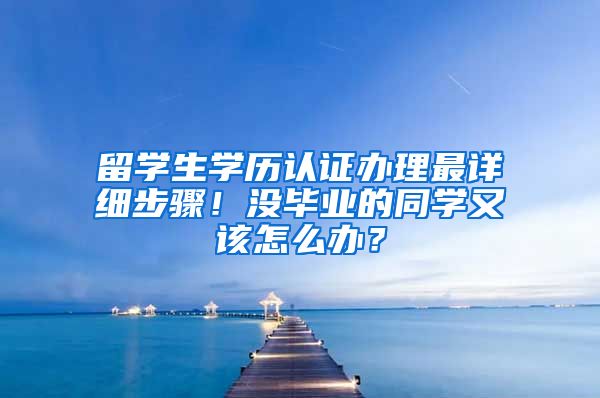 留学生学历认证办理最详细步骤！没毕业的同学又该怎么办？