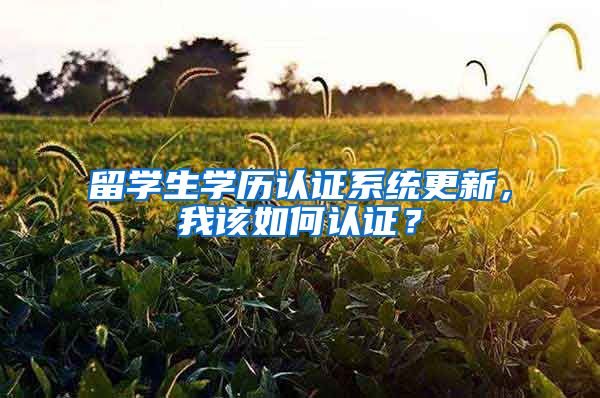 留学生学历认证系统更新，我该如何认证？