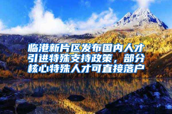 临港新片区发布国内人才引进特殊支持政策，部分核心特殊人才可直接落户