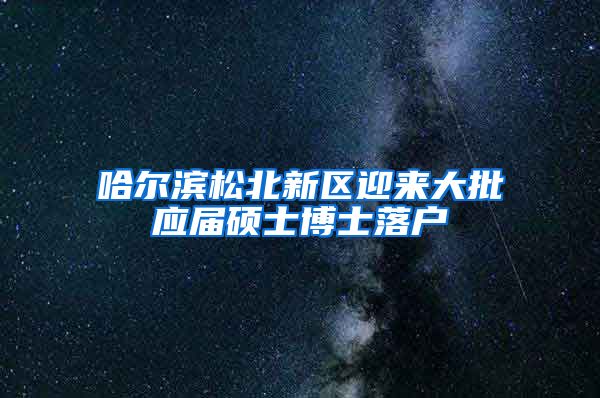 哈尔滨松北新区迎来大批应届硕士博士落户