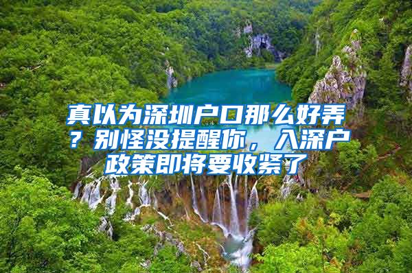 真以为深圳户口那么好弄？别怪没提醒你，入深户政策即将要收紧了