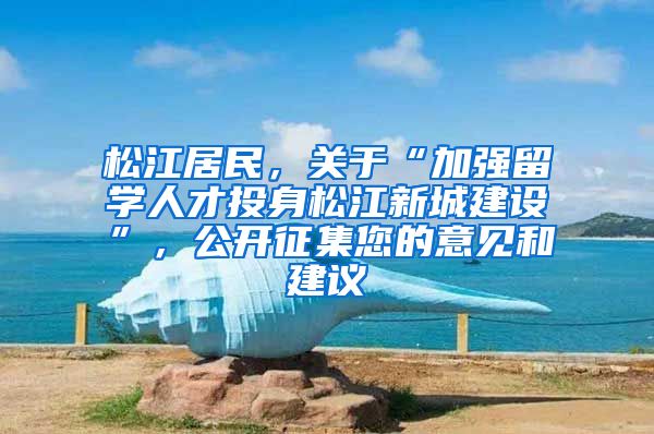 松江居民，关于“加强留学人才投身松江新城建设”，公开征集您的意见和建议→