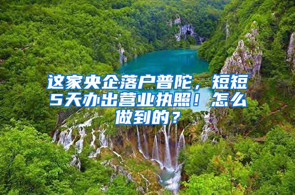 这家央企落户普陀，短短5天办出营业执照！怎么做到的？