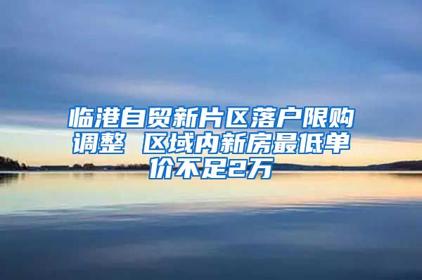 临港自贸新片区落户限购调整 区域内新房最低单价不足2万