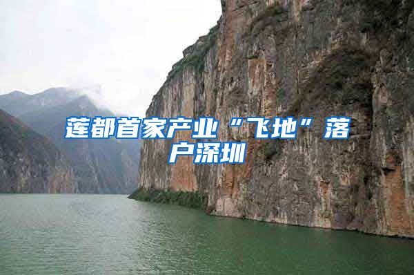莲都首家产业“飞地”落户深圳
