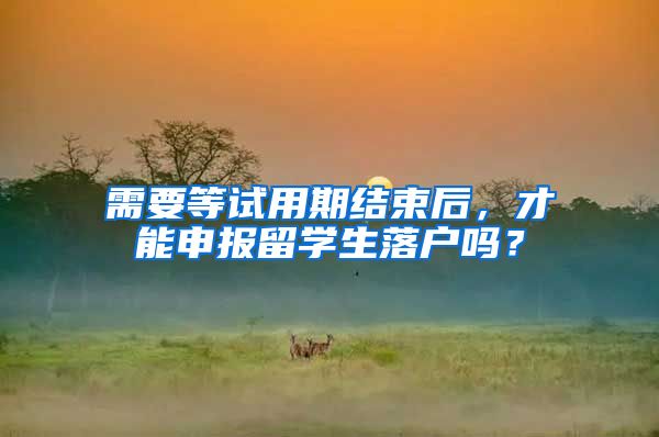 需要等试用期结束后，才能申报留学生落户吗？