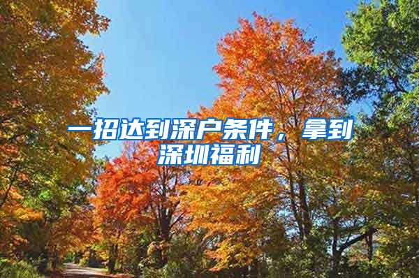 一招达到深户条件，拿到深圳福利