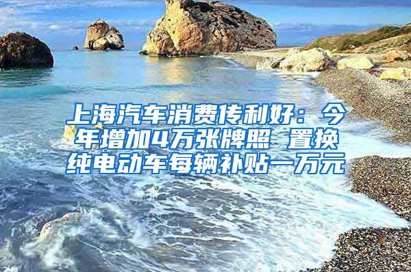 上海汽车消费传利好：今年增加4万张牌照 置换纯电动车每辆补贴一万元