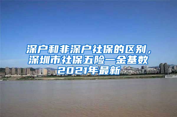 深户和非深户社保的区别，深圳市社保五险一金基数2021年最新