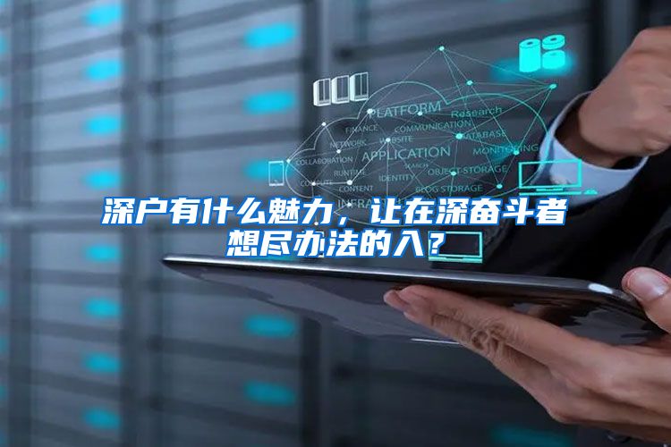 深户有什么魅力，让在深奋斗者想尽办法的入？