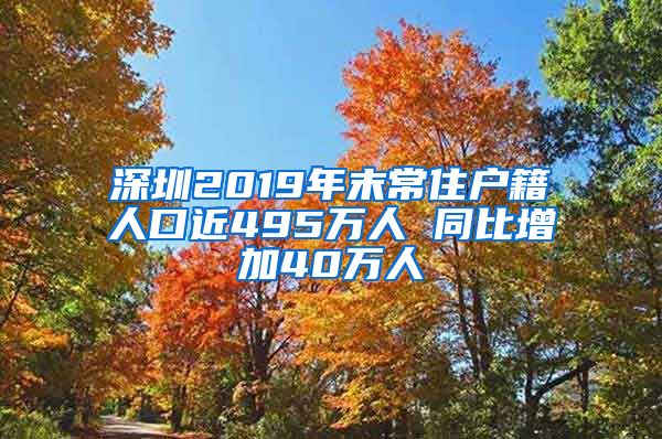 深圳2019年末常住户籍人口近495万人 同比增加40万人