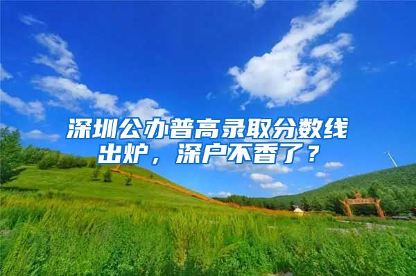 深圳公办普高录取分数线出炉，深户不香了？