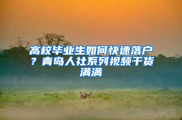 高校毕业生如何快速落户？青岛人社系列视频干货满满