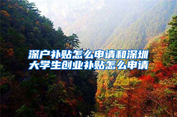 深户补贴怎么申请和深圳大学生创业补贴怎么申请