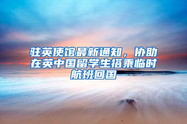 驻英使馆最新通知，协助在英中国留学生搭乘临时航班回国