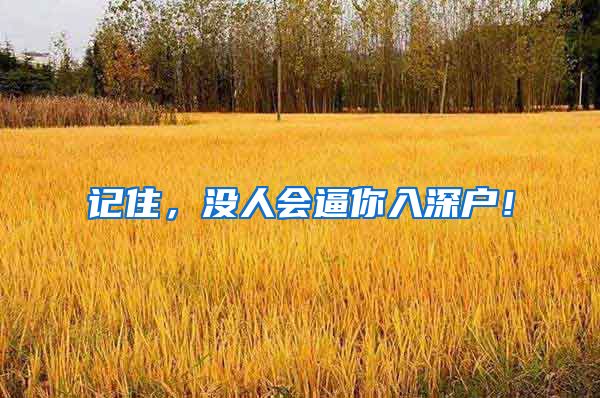 记住，没人会逼你入深户！