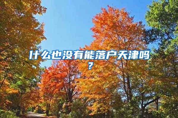 什么也没有能落户天津吗？