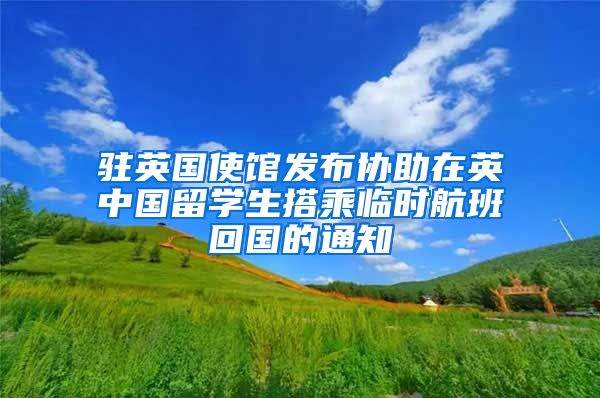 驻英国使馆发布协助在英中国留学生搭乘临时航班回国的通知