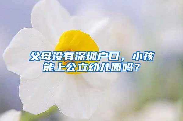 父母没有深圳户口，小孩能上公立幼儿园吗？
