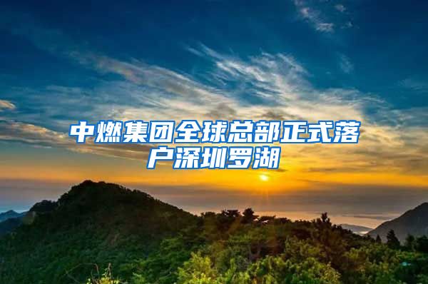 中燃集团全球总部正式落户深圳罗湖