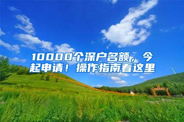 10000个深户名额，今起申请！操作指南看这里
