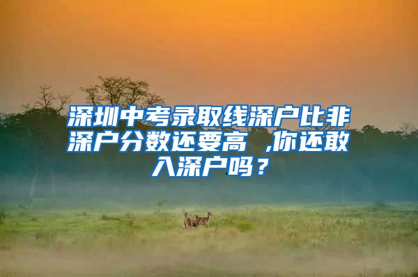 深圳中考录取线深户比非深户分数还要高 ,你还敢入深户吗？