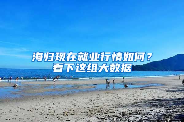 海归现在就业行情如何？看下这组大数据