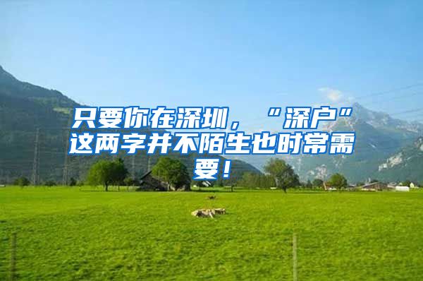 只要你在深圳，“深户”这两字并不陌生也时常需要！