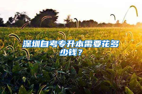 深圳自考专升本需要花多少钱？