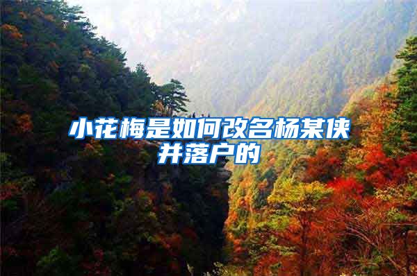 小花梅是如何改名杨某侠并落户的