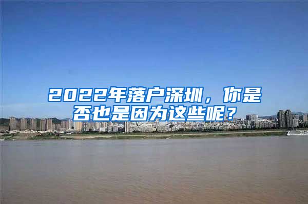 2022年落户深圳，你是否也是因为这些呢？