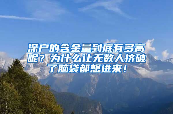 深户的含金量到底有多高呢？为什么让无数人挤破了脑袋都想进来！