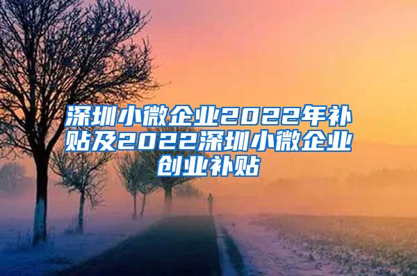 深圳小微企业2022年补贴及2022深圳小微企业创业补贴