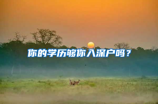 你的学历够你入深户吗？