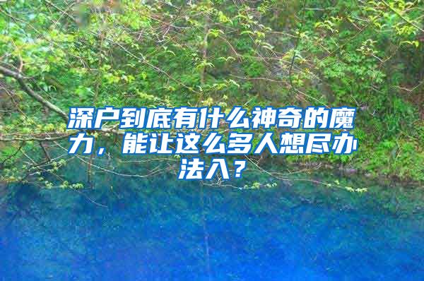 深户到底有什么神奇的魔力，能让这么多人想尽办法入？
