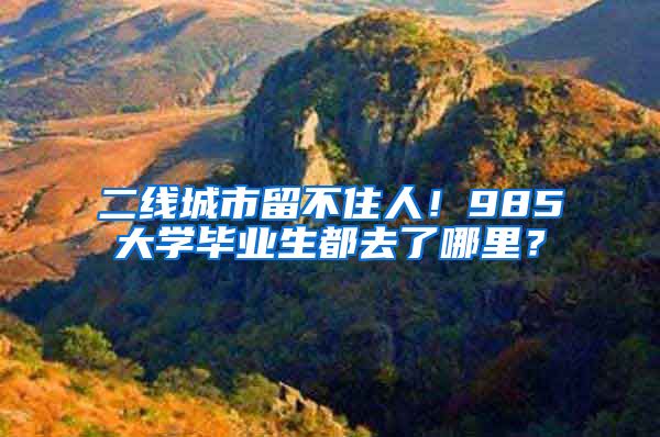 二线城市留不住人！985大学毕业生都去了哪里？