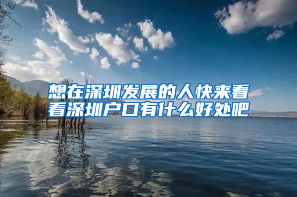 想在深圳发展的人快来看看深圳户口有什么好处吧