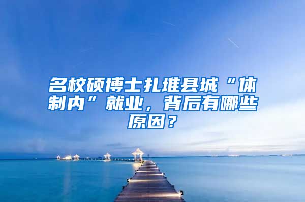 名校硕博士扎堆县城“体制内”就业，背后有哪些原因？