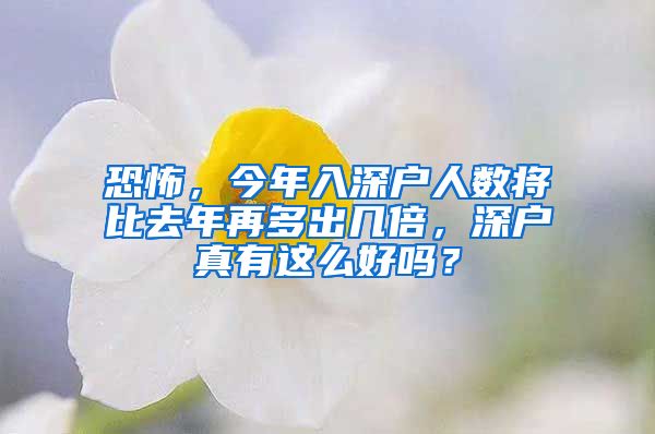恐怖，今年入深户人数将比去年再多出几倍，深户真有这么好吗？
