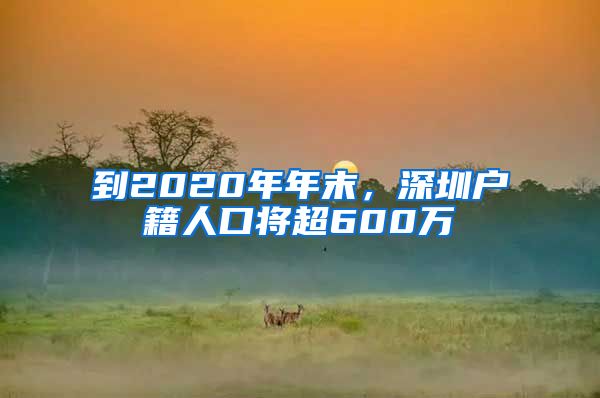 到2020年年末，深圳户籍人口将超600万