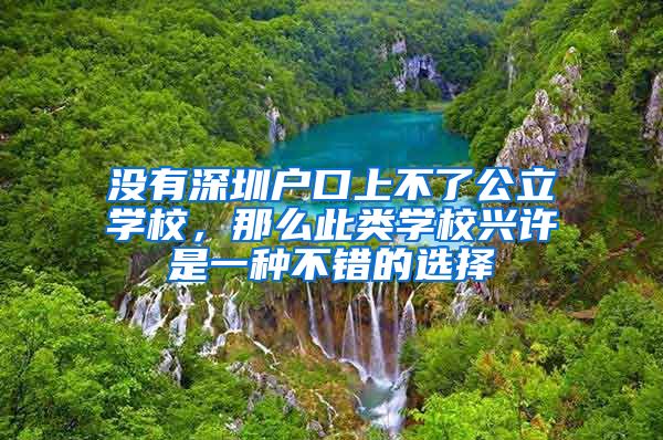 没有深圳户口上不了公立学校，那么此类学校兴许是一种不错的选择