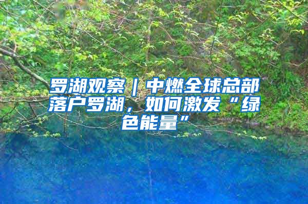 罗湖观察｜中燃全球总部落户罗湖，如何激发“绿色能量”