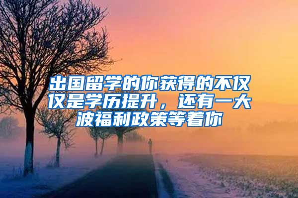 出国留学的你获得的不仅仅是学历提升，还有一大波福利政策等着你