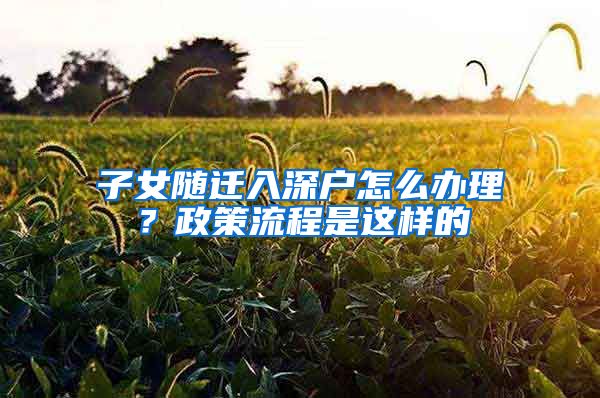子女随迁入深户怎么办理？政策流程是这样的