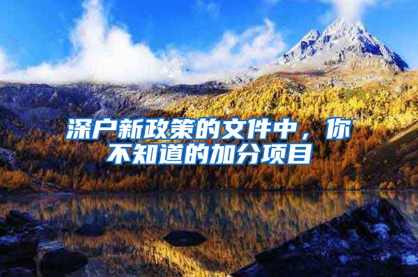 深户新政策的文件中，你不知道的加分项目