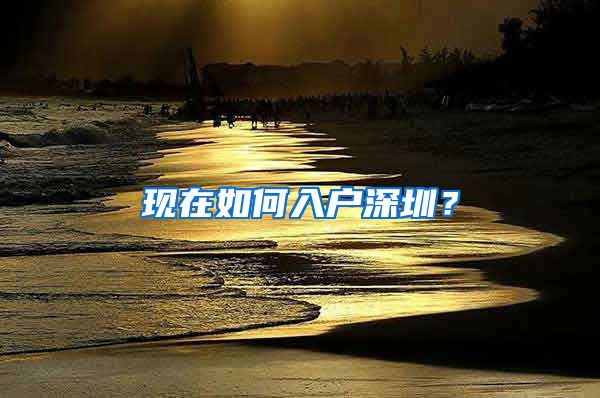 现在如何入户深圳？